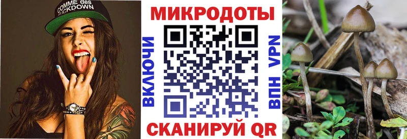 Псилоцибиновые грибы Psilocybe  купить наркотики цена  Подпорожье 